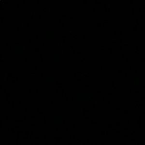 Meet your Posher, Bianca